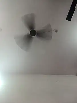 Appypie online show from 10/01/25, 05:24