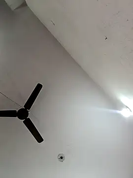 Appypie online show from 11/07/25, 06:13