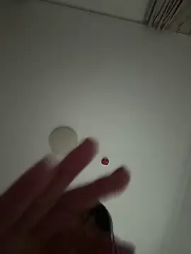 77momomo online show from 04/24/26, 04:31