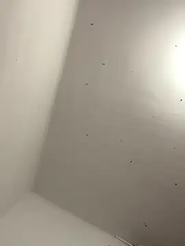 davidxxx099 online show from 11/22/25, 10:31