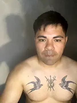 A-dvd-96 online show from 11/20/25, 06:18