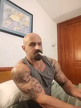 Visto36 online show from 07/14/26, 09:53