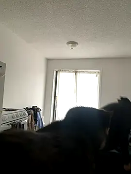 inked nekoo online show from 12/03/25, 03:32