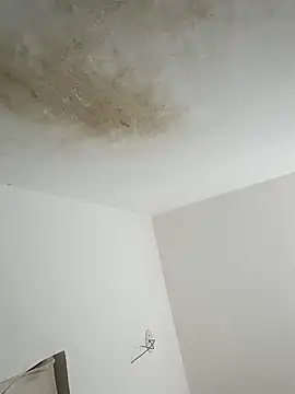 Snapshot of thunderrony chatting on 10/06/25, 03:09 thunderrony online show from 10/06/25, 03:09