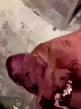 Snapshot of 123plmnbvcxz chatting on 09/29/25, 08:13 123plmnbvcxz online show from 09/29/25, 08:13