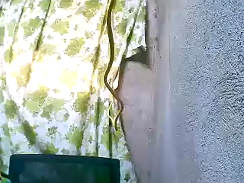 Sweeetgurll online show from 11/05/25, 01:27