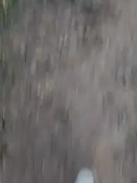 Sonia66w online show from 10/01/25, 12:49