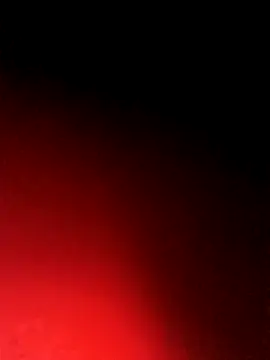 BlackCobraOwner online show from 10/15/25, 11:21