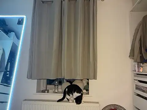 KayleeBella online show from 12/03/25, 09:24