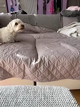 bananasex204 online show from 10/25/25, 12:02