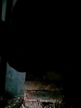 Snapshot of NegroArg_22 chatting on 10/02/25, 09:44 NegroArg 22 online show from 10/02/25, 09:44