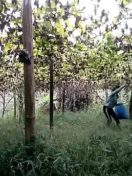 ngan-cute online show from 10/22/25, 11:15