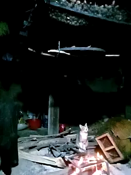 ngan-cute online show from 11/17/25, 01:28