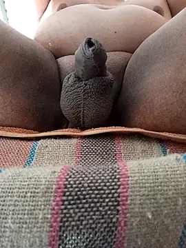 HotsitoTQM online show from 12/17/25, 03:51