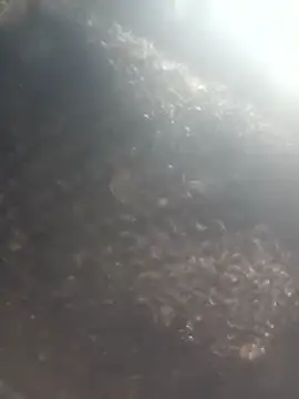 Hot era online show from 01/08/26, 07:10