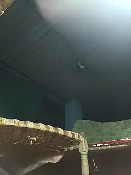 Hot-honi online show from 11/10/25, 11:04