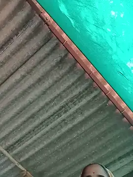 Hot-honi online show from 11/12/25, 05:52