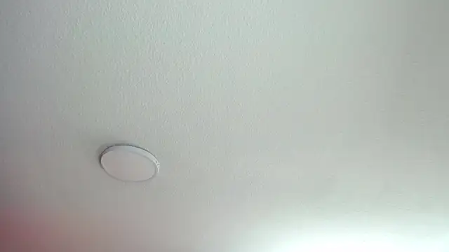  Charlotte Collins  online show from 07/09/26, 04:33