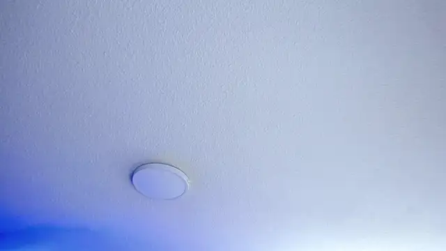  Charlotte Collins  online show from 07/23/26, 04:16