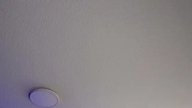  Charlotte Collins  online show from 07/24/26, 04:27