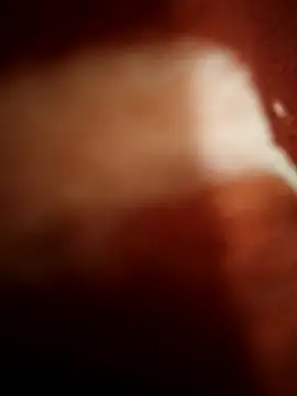 sexy  girls98 online show from 11/08/25, 11:47