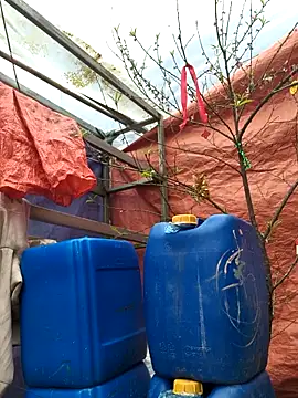 liu-liusexy online show from 02/19/26, 08:21