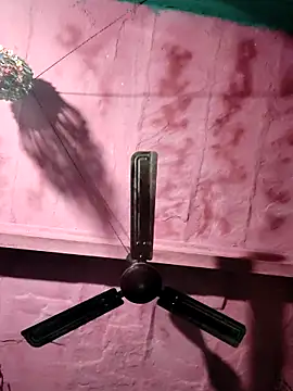 Pooja750 online show from 03/01/26, 12:45