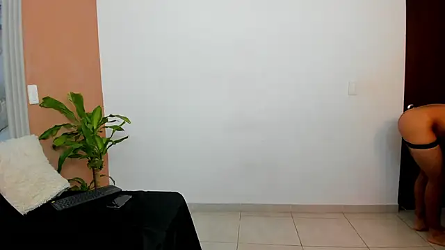  online show from 11/14/25, 01:21