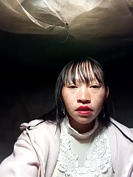 tcm-cute online show from 11/12/25, 07:35