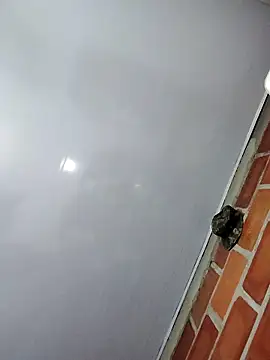 Perropa online show from 02/27/26, 01:16