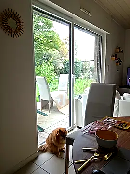 CornetDeGlace online show from 10/31/25, 11:55