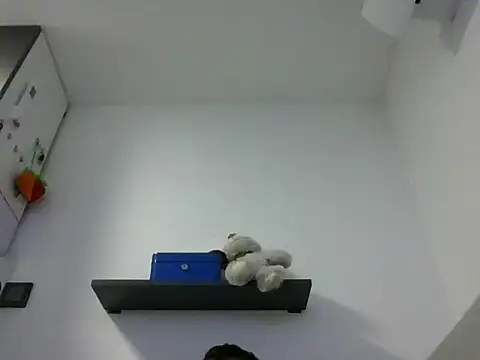 IMGTomi online show from 06/17/26, 03:42