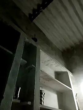 Payal950 online show from 11/08/25, 12:38