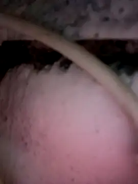 Payal950 online show from 12/02/25, 11:56