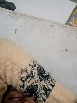 Payal950 online show from 12/03/25, 03:43