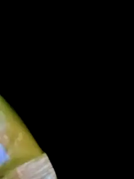 Payal950 online show from 05/03/26, 12:27