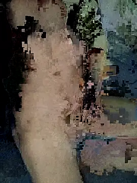 xxxxxcgbn online show from 02/05/26, 04:17