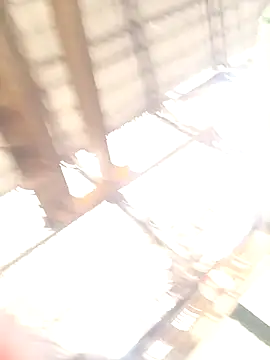 xyz-indian online show from 10/11/25, 03:50