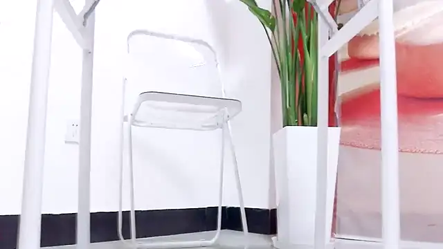 Tianxin6 online show from 01/06/26, 08:18