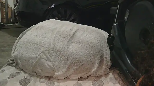 Snapshot of Gmajor chatting on 12/15/25, 01:32 Gmajor online show from 12/15/25, 01:32