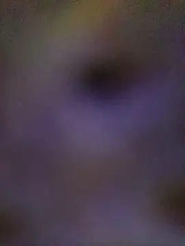 Snapshot of sadhna200 chatting on 10/05/25, 06:39 sadhna200 online show from 10/05/25, 06:39