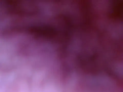 Your candy 47 online show from 09/17/25, 01:24