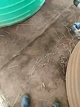 BigboyDick2 online show from 10/20/25, 12:38