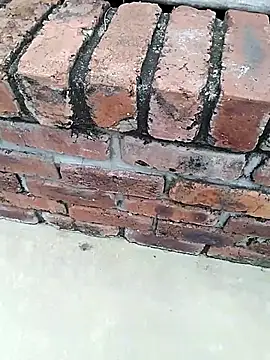 BigboyDick2 online show from 11/14/25, 09:08