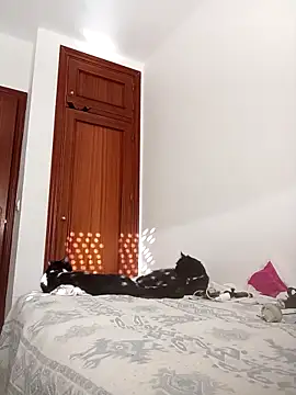 oscartres online show from 11/02/25, 03:25