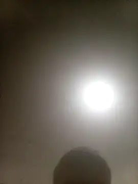 Bebicho14 online show from 02/10/26, 04:22