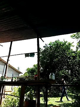 AlphaAlterX online show from 10/02/25, 06:04