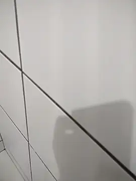 Novin23cms online show from 11/14/25, 11:24