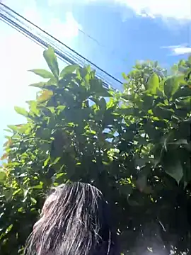 Snapshot of Sophie_Dreamss chatting on 10/03/25, 07:33 Sophie Dreamss online show from 10/03/25, 07:33