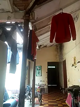 hairy mannn online show from 02/15/26, 02:14